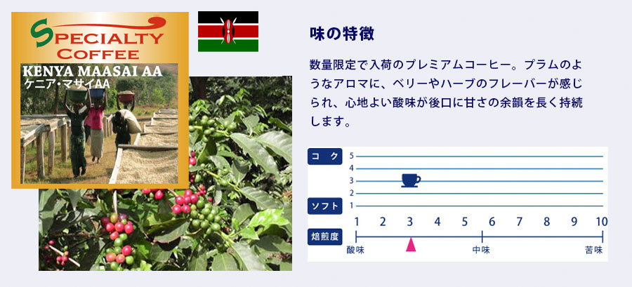 ケニア・マサイA A