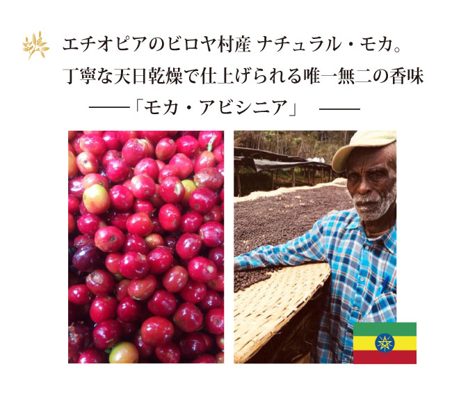 エチオピアコーヒー モカ・アビシニア コーヒー