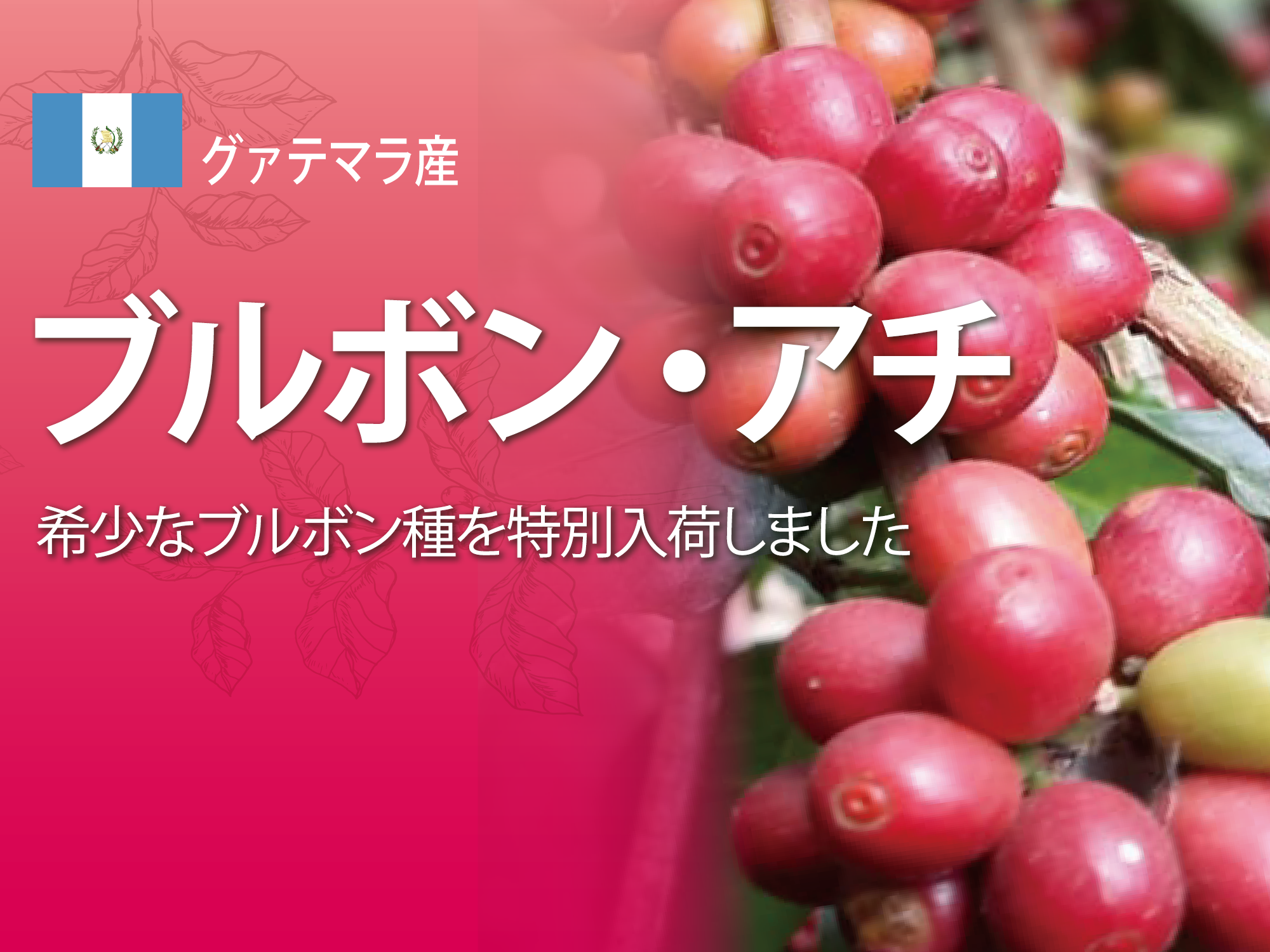 ブルボンあち
