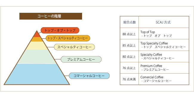 キャラバンサライの認証コーヒー基準について説明41