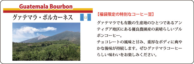 福袋ガテマラコーヒーの説明