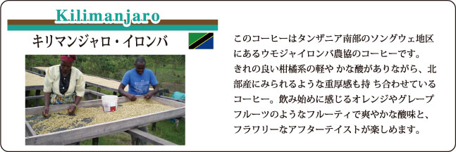 福袋キリマンジャロの説明