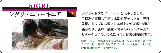 福袋シグリピーベリーの説明