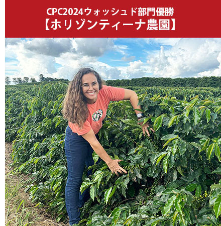 セットのホリゾンティーナ　見出し