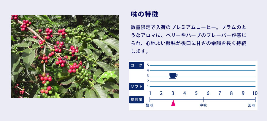 ケニア・マサイ 味の特徴