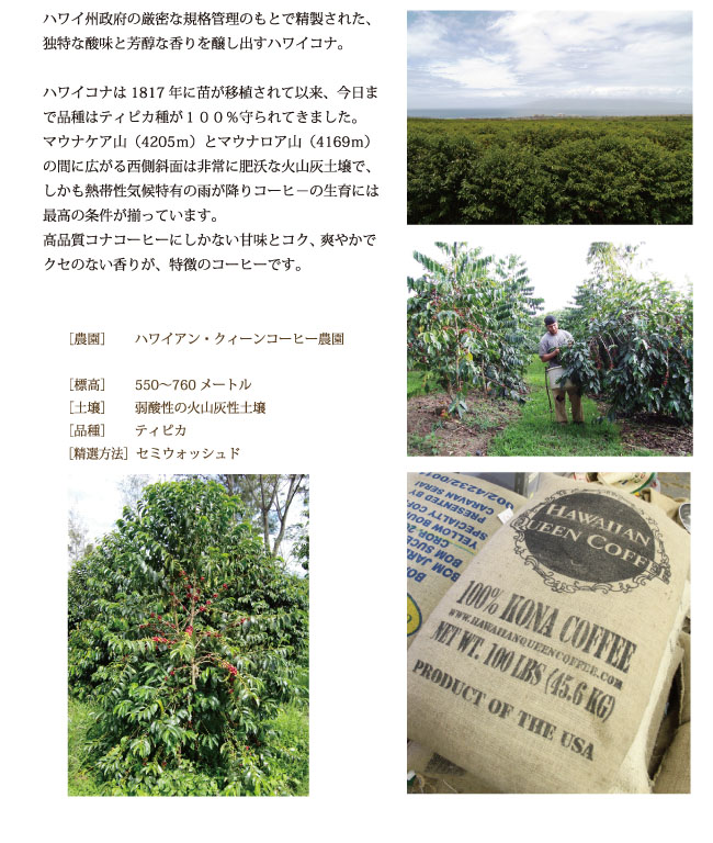 ハワイコナコーヒーとは