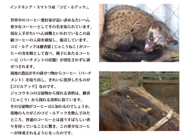コピルアックはじょうこう猫コーヒーとのいわれます