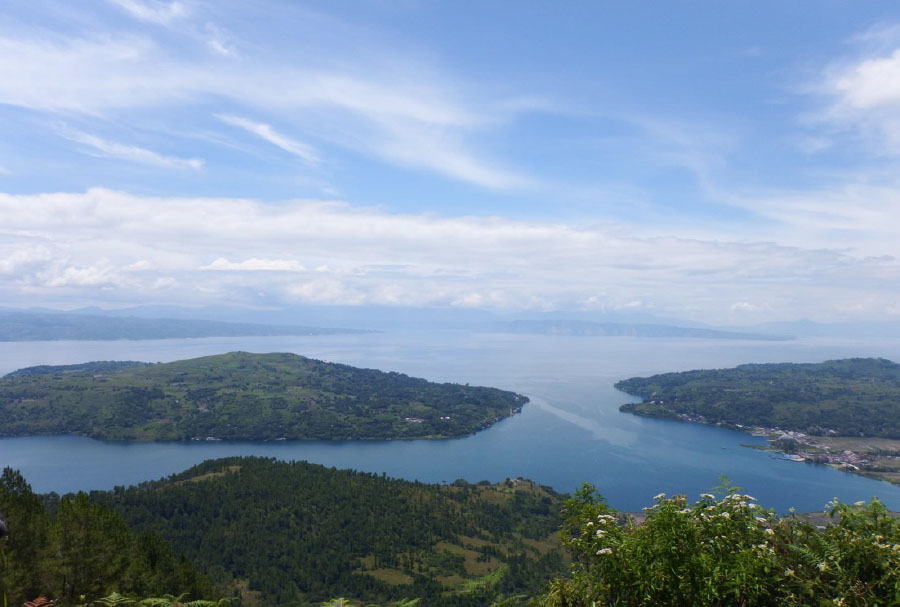 マンデリンリントン001