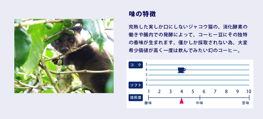 コピルアックの味の特徴
