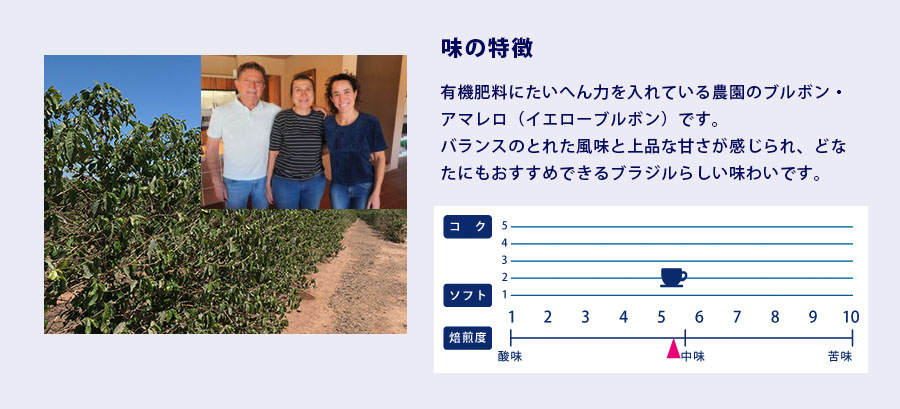 ブラジル・マグノリア　味の特徴