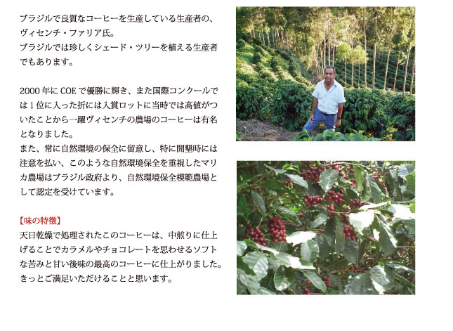 ブラジル・マリカ農園コーヒーの説明02