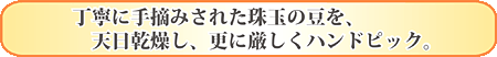 丁寧に手摘みされた珠玉の豆を、天日乾燥し、更に厳しくハンドピック。