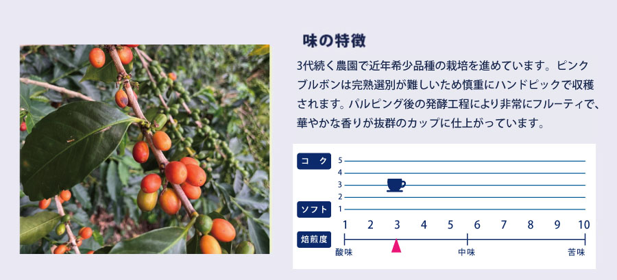コロンビア・ゲイシャ 味