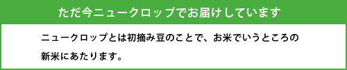 只今ニュークロップにてお届けしています