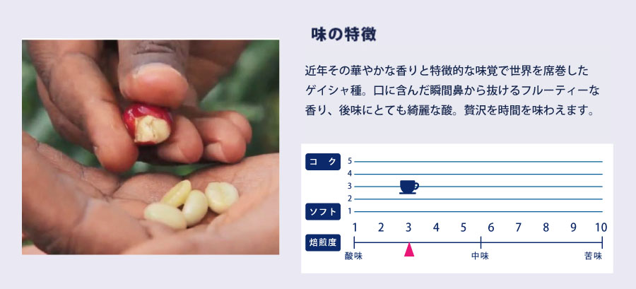 ゲシャビレッジ・ゲイシャ味