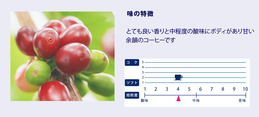 ガルシア味の特徴