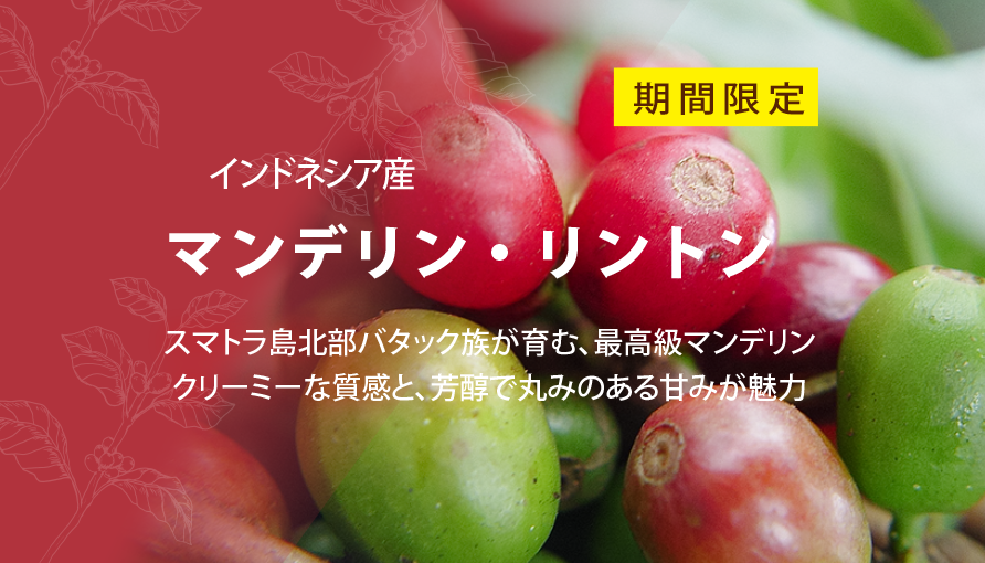 リントンはこちら