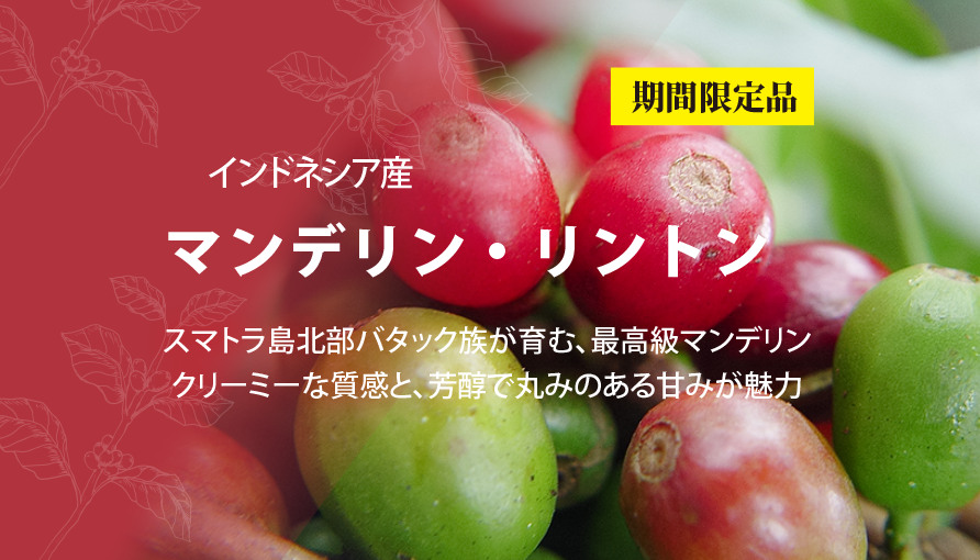 リントンはこちら