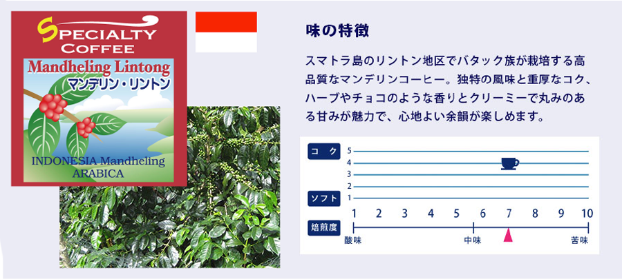 マンデリン・リントン