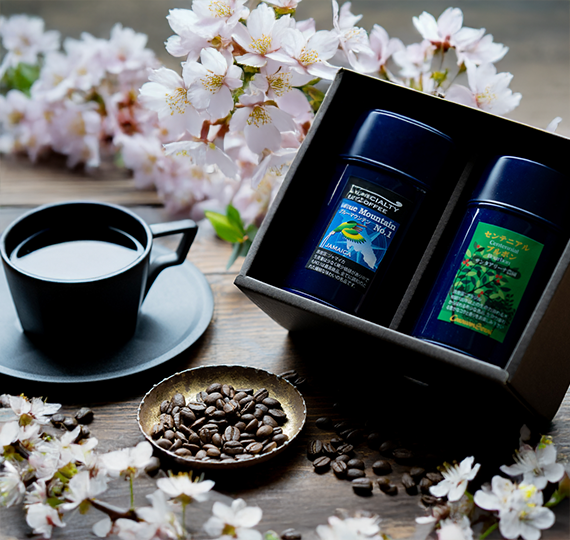 季節のお祝いギフト