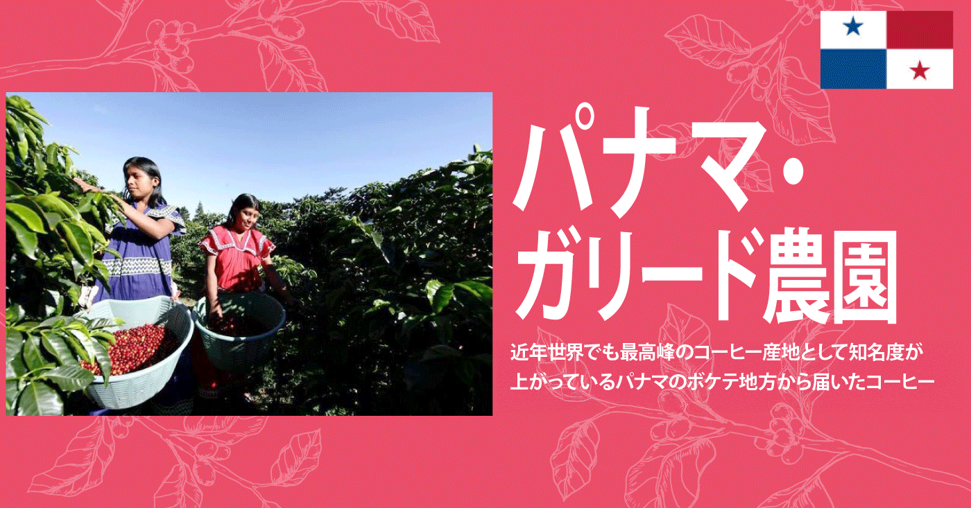 ”ガリード農園"