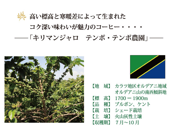 キリマンジャロ・テンボ・テンボ農園コーヒーの説明01