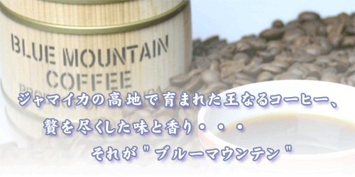 ジャマイカの高地で育まれた王なるコーヒー、贅を尽くした味と香り、それがブルーマウンテン。