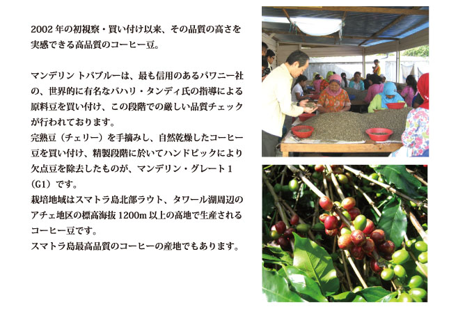 トバブルー説明
