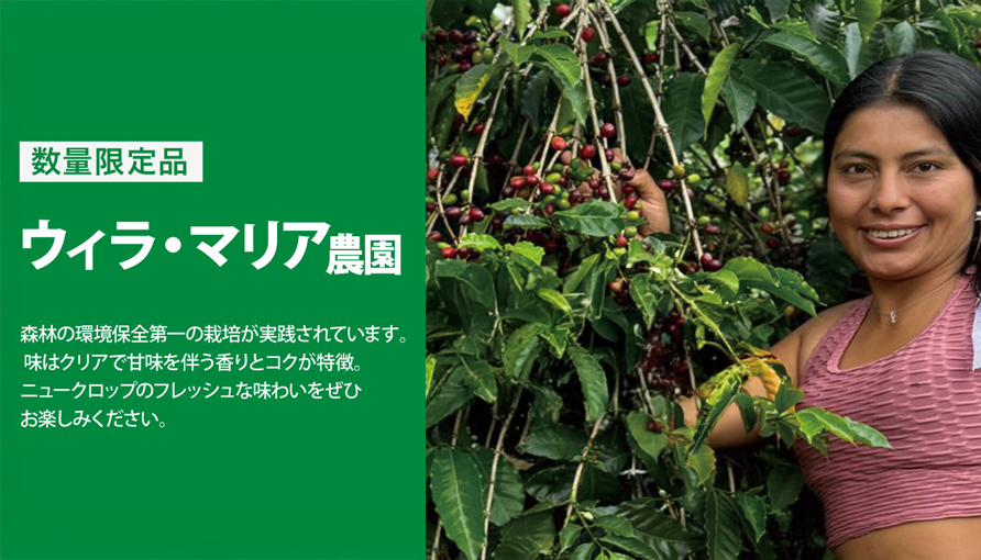 マリア農園はこちら
