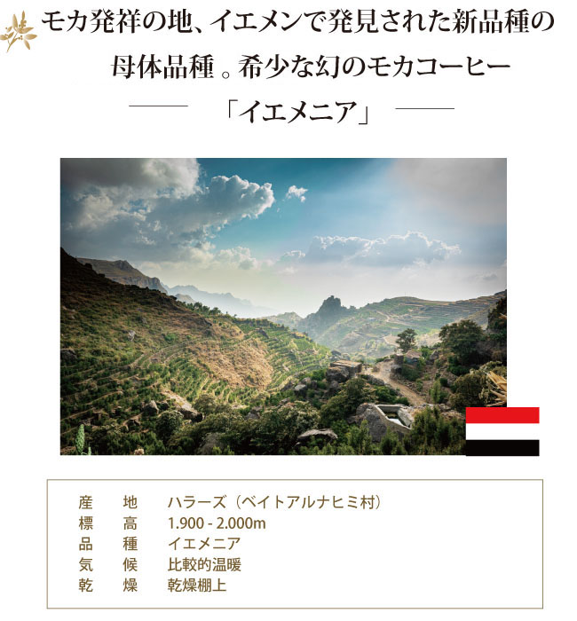 イエメニア説明